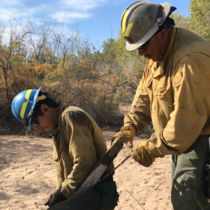 Inspecting the equipment